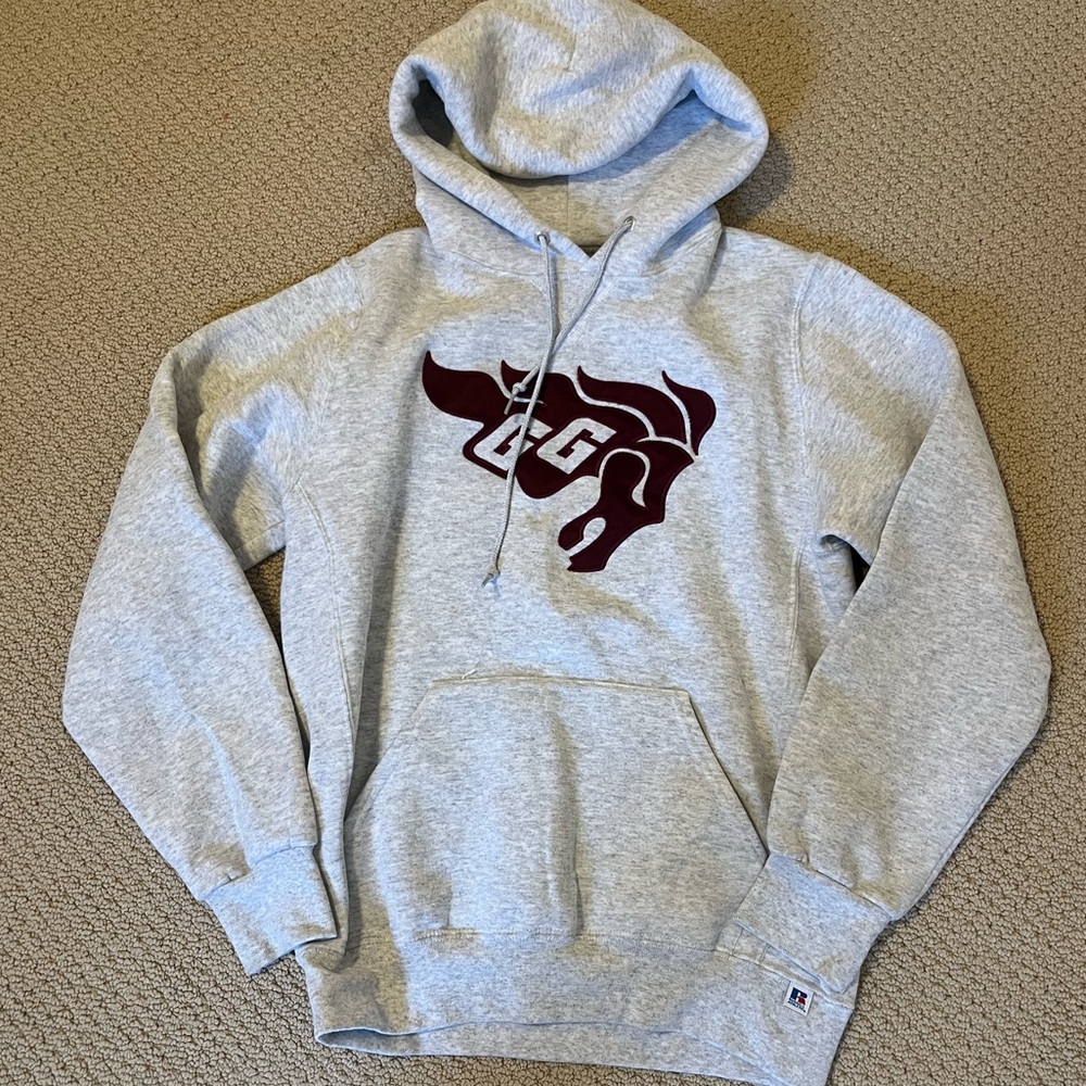 University of Ottawa Graphic Hoodie Sweatshirt Grey Small Unisex